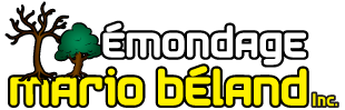 Émondage Mario Béland inc.