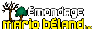 Émondage Mario Béland inc.