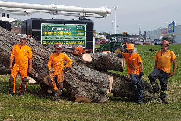 Émondage Mario Béland - Service d'abattage d'arbres