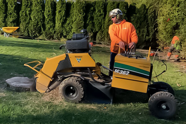 Émondage Mario Béland - Service d'essouchage d'arbres