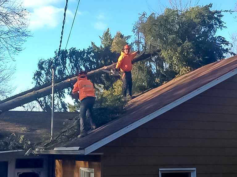 Émondage Mario Béland - Service urgence